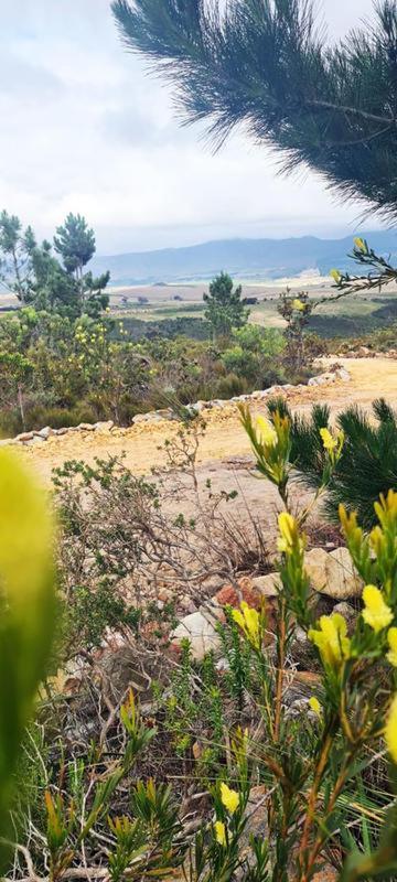 Avani Lodge Private Nature Reserve Botrivier Bagian luar foto
