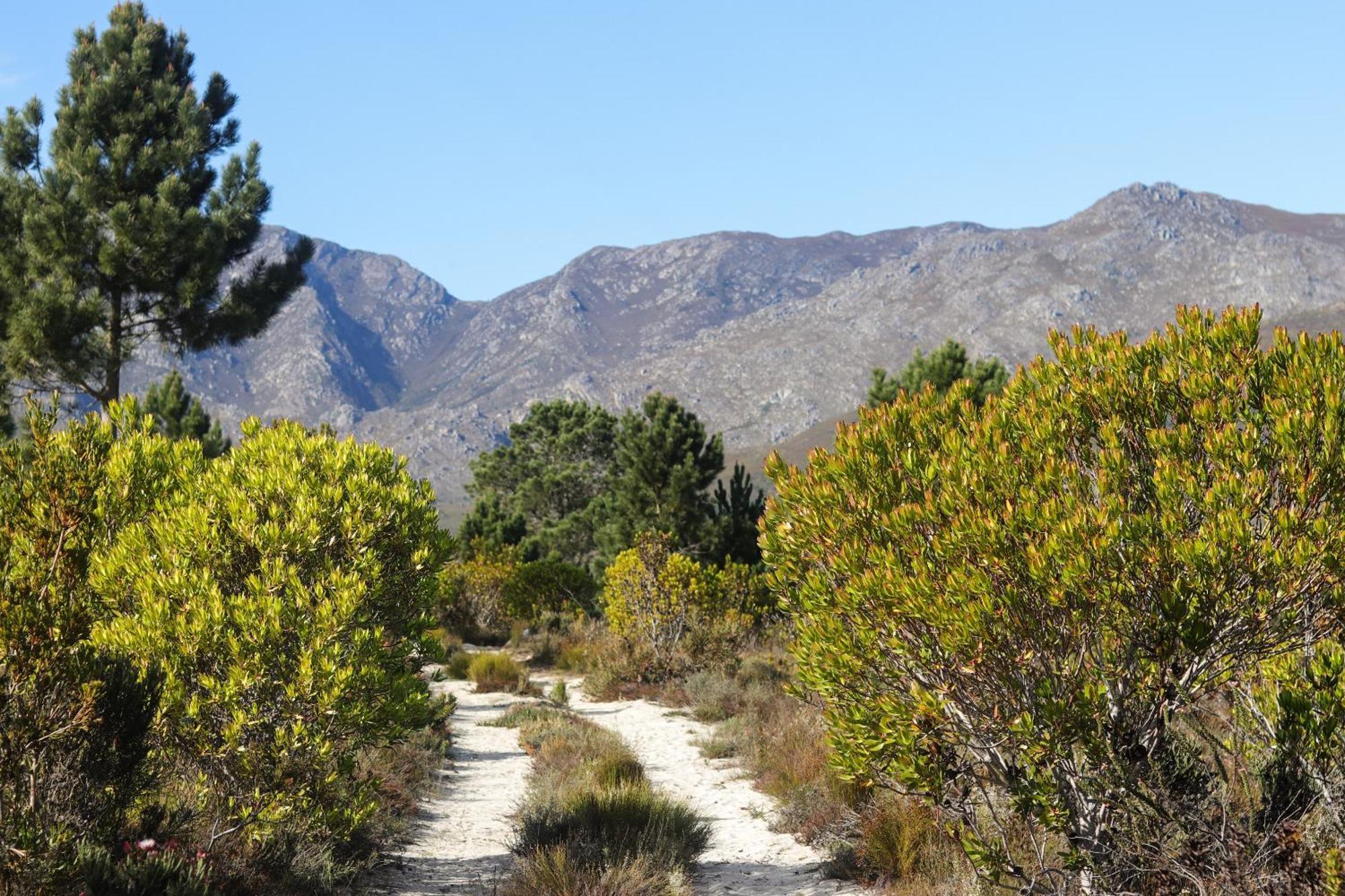 Avani Lodge Private Nature Reserve Botrivier Bagian luar foto